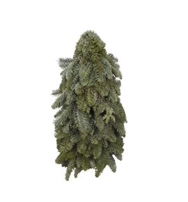 Arbol nobilis 50 a2 - ARBNOBA2