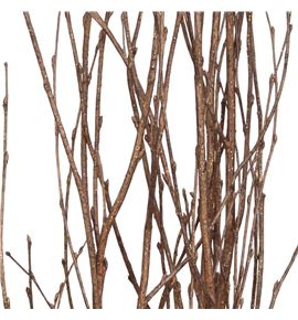 Berk champagne purpurina 120 x5t - BERCHAPUR