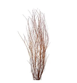 Berk cobre purpurina 120 x5t - BERCOBPUR