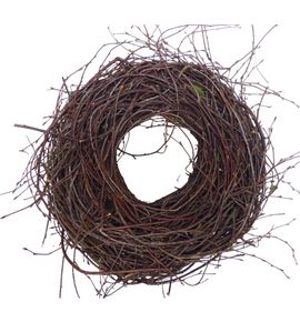 Corona abedul 30 - CORABE