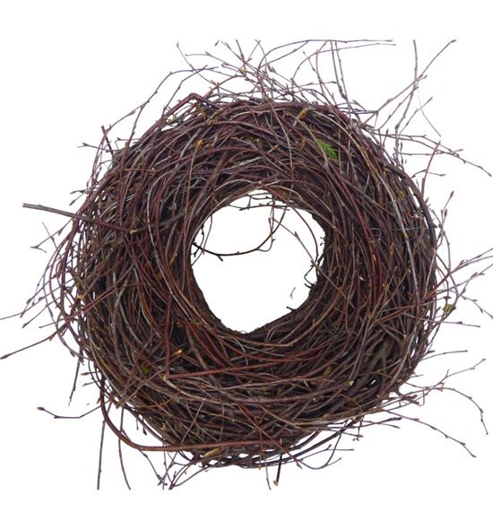 Corona abedul 30 - CORABE