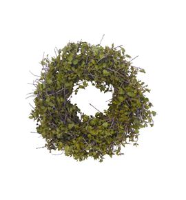 Corona ilex blatt 35 - CORILEBLA