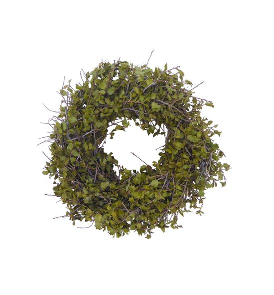 Corona ilex blatt 35 - CORILEBLA