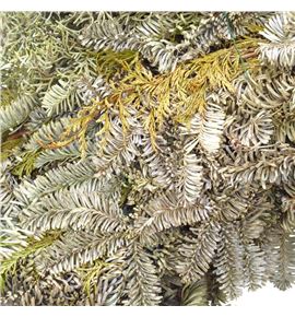 Corona nobilis/mixta 60 a2 - CORNOBTUYA2