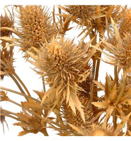 Eryng teñido melocoton 50 - ERYTENMEL