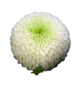 Cr laporta 70 - CRGLAP