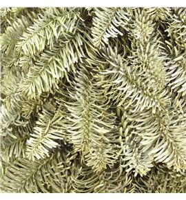 Arbol nobilis op 80 a2 - ARBNOBOPA2