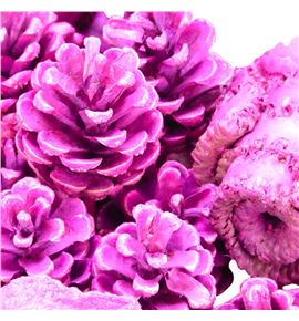 Indian mix fucsia x40 - INDFUC