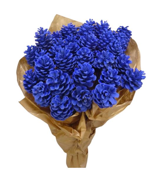 Piña azul x40 - PINAZU