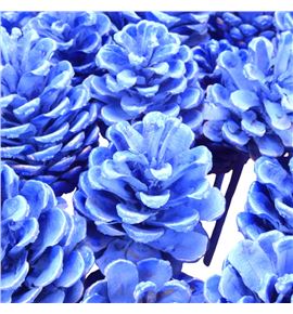 Piña azul x40 - PINAZU