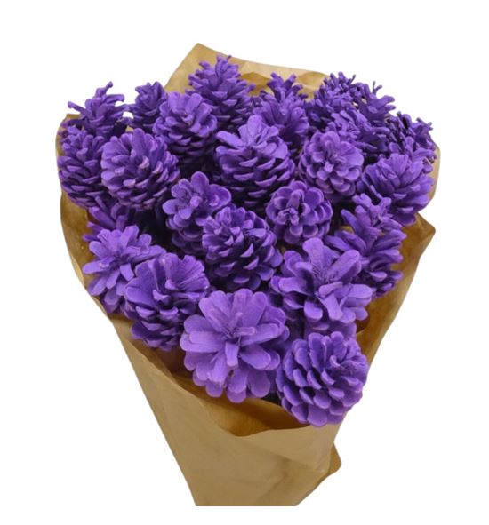 Piña lila x40 - PINLIL