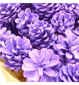 Piña lila x40 - PINLIL