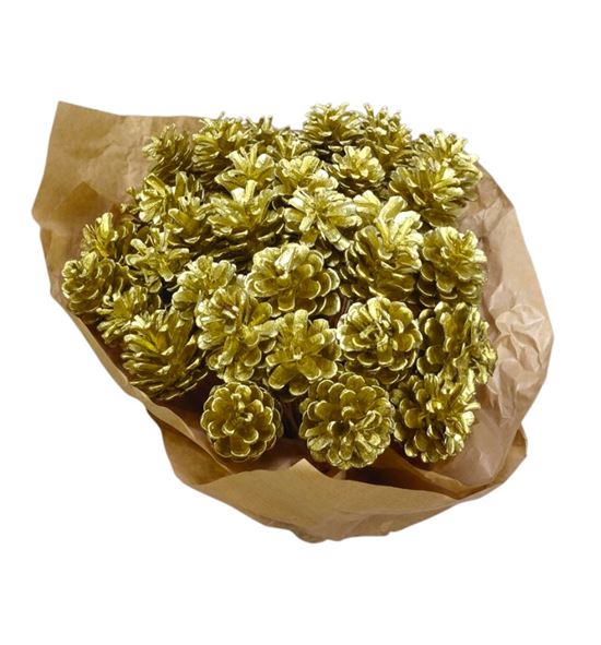 Piña oro x40 - PINORO