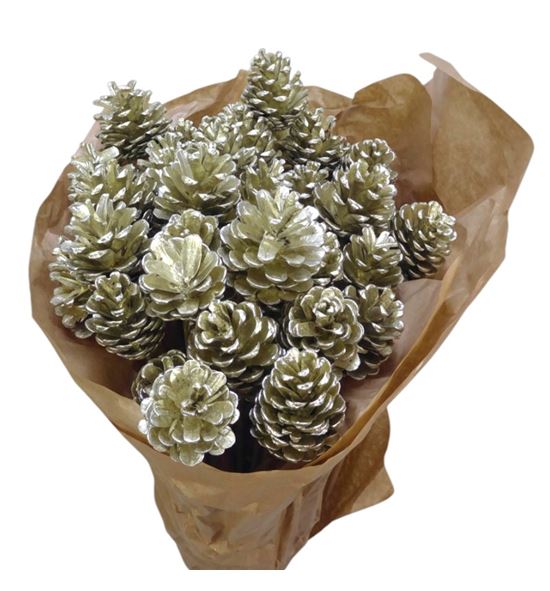 Piña platina x40 - PINPLAT