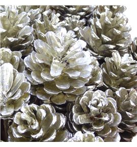 Piña platina x40 - PINPLAT