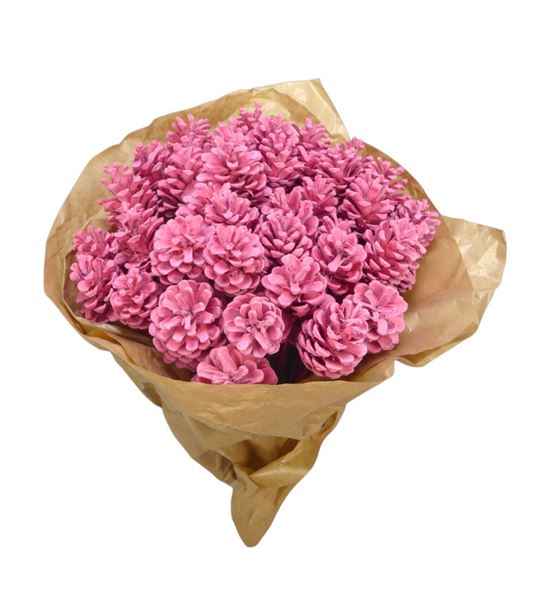 Piña rosa x40 - PINROS