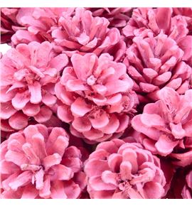 Piña rosa x40 - PINROS