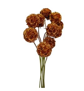 Scabiosa cobre purpurina 60 - SCACOBPUR
