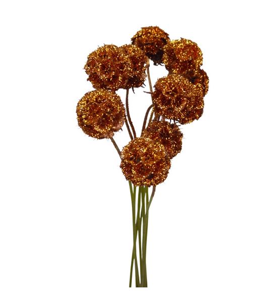 Scabiosa cobre purpurina 60 - SCACOBPUR