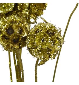 Scabiosa oro purpurina 60 - SCAOROPUR