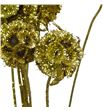 Scabiosa oro purpurina 60 - SCAOROPUR1
