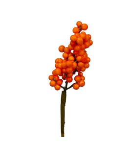 Stick berry ilex naranja x10 - STIBERILENAR