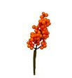 Stick berry ilex naranja x10 - STIBERILENAR1