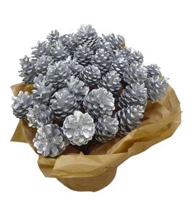 Piña plata x40 - PINPLA