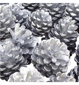 Piña plata x40 - PINPLA