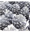 Piña plata x40 - PINPLA1