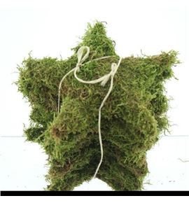 Estrella musgo 20 - ESTMUS25