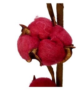 Algodon rojo - ALGROJ