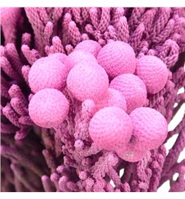 Brunia silver rose 50 - BRUSILROS