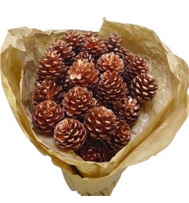 Piña cobre x40 - PINCOB