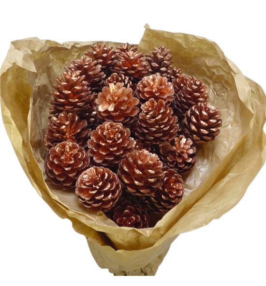 Piña cobre x40 - PINCOB