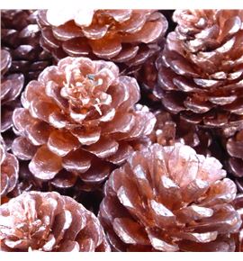 Piña cobre x40 - PINCOB