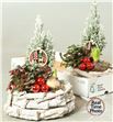 Pl. composicion planta navidad 30cm x2 - COMPLANAV22330