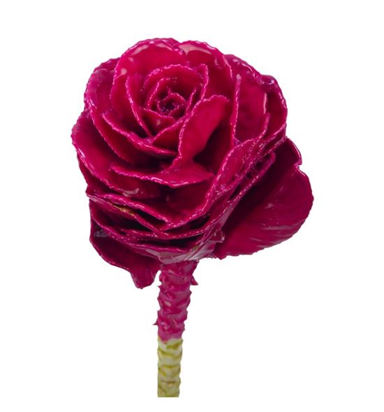 Brassica de cera fucsia x1 58cm - BRACERFUC58