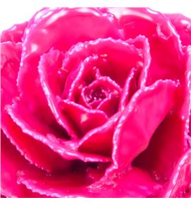 Brassica de cera fucsia x1 58cm - BRACERFUC58