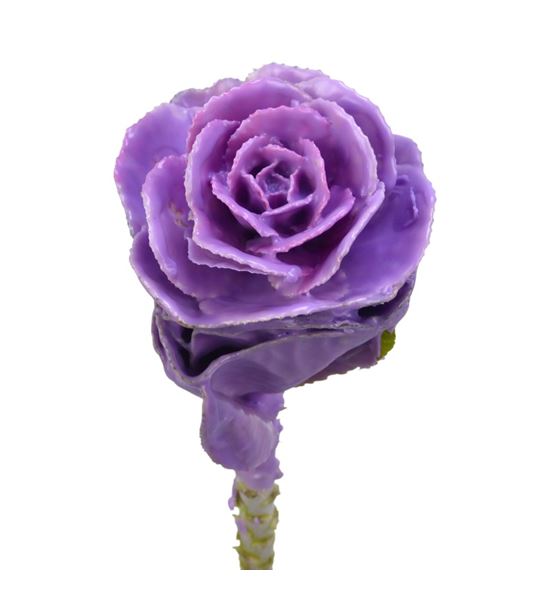 Brassica de cera milka x1 60cm - BRACERMIL62