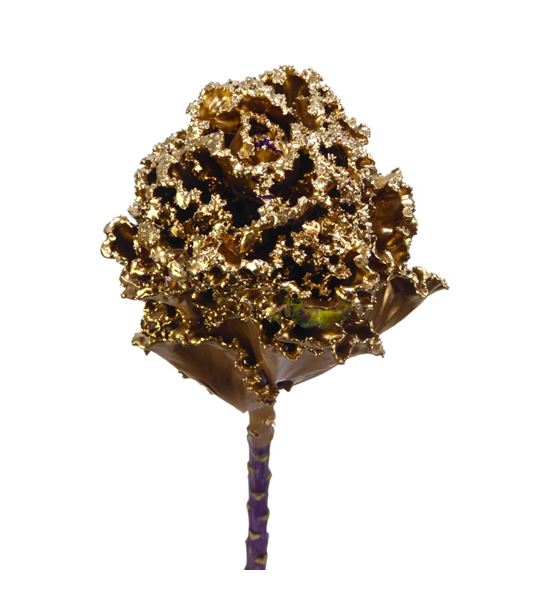 Brassica de cera oro x1 62cm - BRACERORO62