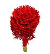 Brassica de cera rojo x1 62cm - BRACERROJ62