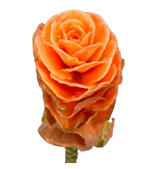 Brassica de cera versilia x1 62cm - BRACERVER62