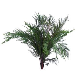 Conif.verde 45cm - CONVER45