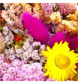 Dried bqt lucky 60 - DRIBQTLUC