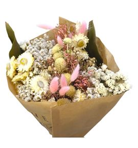 Dried bqt maeve 60 - DRIBQTMEA