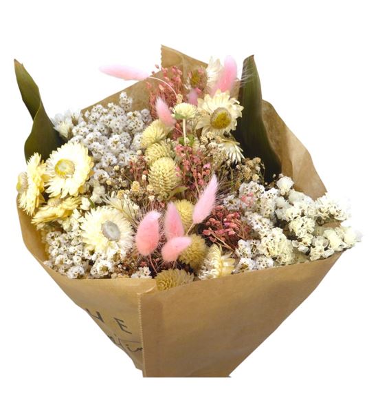 Dried bqt maeve 60 - DRIBQTMEA