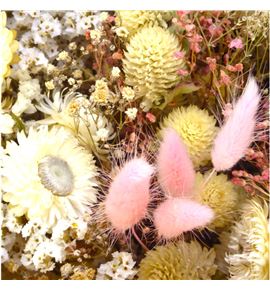 Dried bqt maeve 60 - DRIBQTMEA