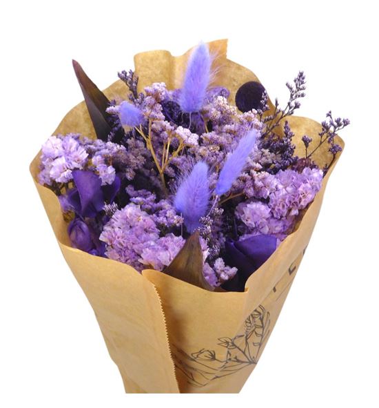 Dried bqt mila 60 - DRIBQTMIL