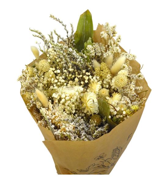 Dried bqt wren 60 - DRIBQTWRE